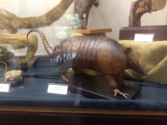 Ecology Museum Fritz Müller