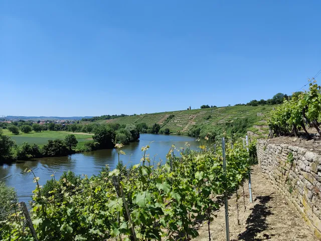 Kirchheimer Weinterrasse