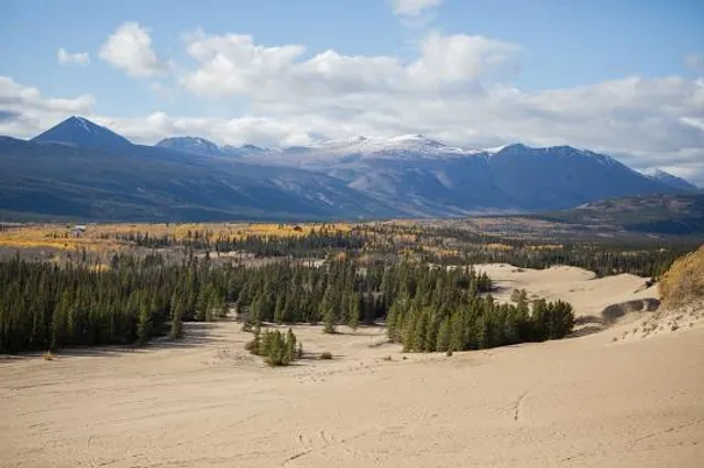 Carcross Desert