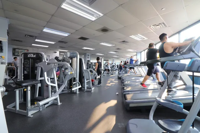 Executive Fitness Gym | Gimnasio | Bench Press | Low Impact Workout