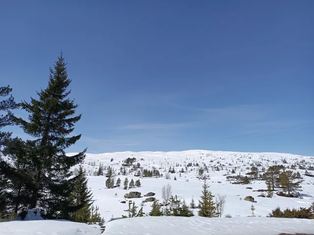 Breimsbygda skisenter AS