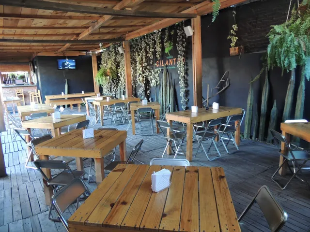 Taqueria El Cilantro