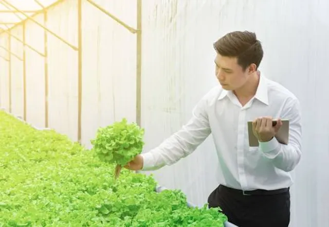 Аквапарк «Карпатія»