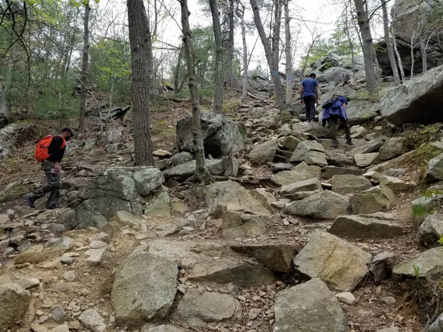 Blue Hills - Skyline Trail