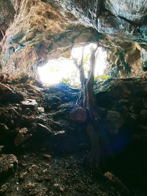 Cueva de los organos