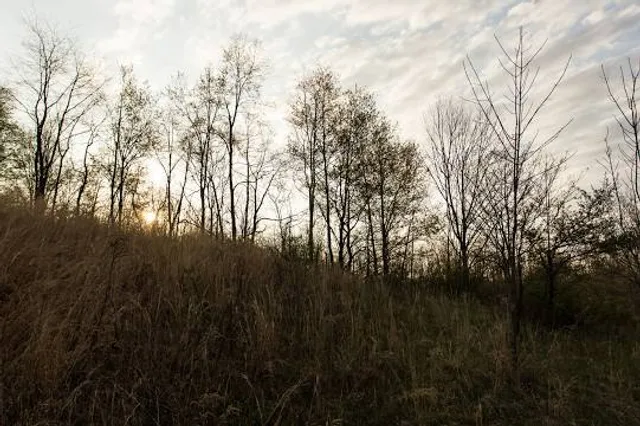 photo-2