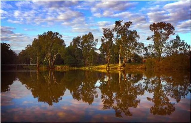 Lake Benalla