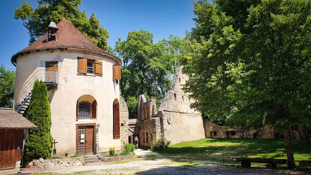 Burgruine Hornstein