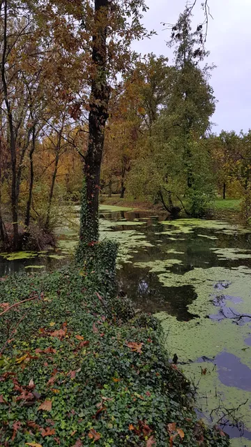 Riserva Naturale Fontanile Brancaleone