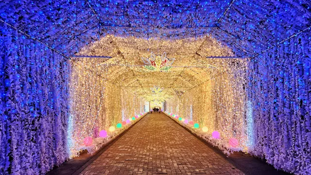 Tokino Sumika Illumination