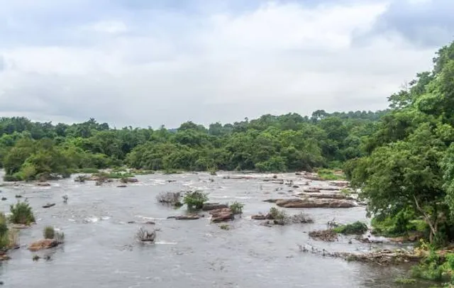 Thumboormuzhi Butterfly Park