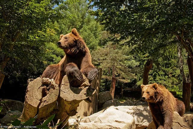 Animal Park of the Pyrenees