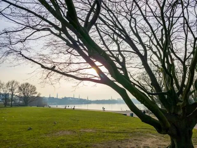 Alsterwiese Schwanenwik