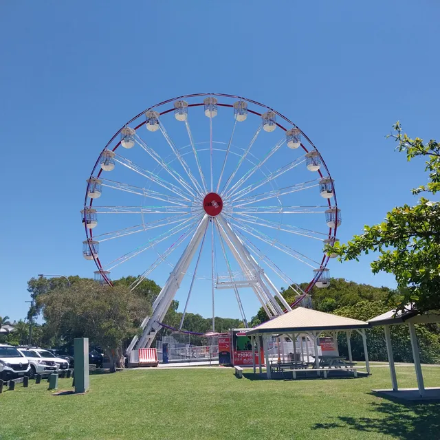 Lions And Norrie Job Park