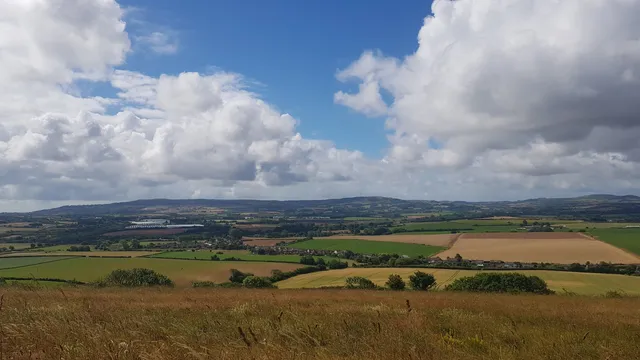 Arreton Down nature reserve