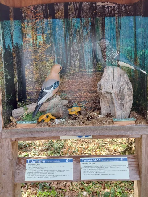 Vogellehrpfad Friesenried