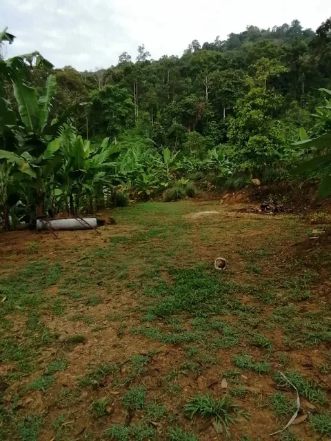 Amazing Camp legacy (veteran VAT69)