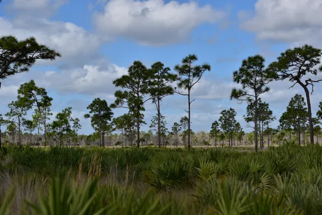 Saint Sebastian River Preserve State Park