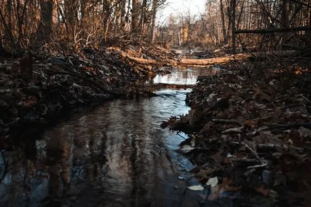 Cobus Creek County Park