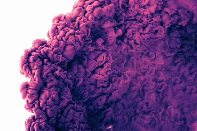 Arts of the Kingdom Museum