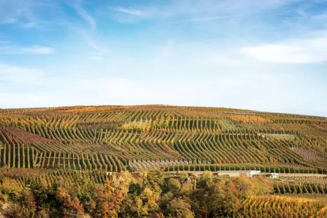 Hiwweltour Stadecker Warte