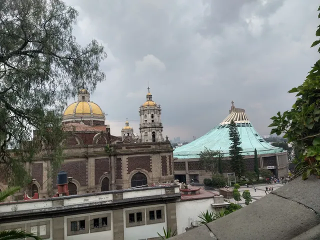 photo-1