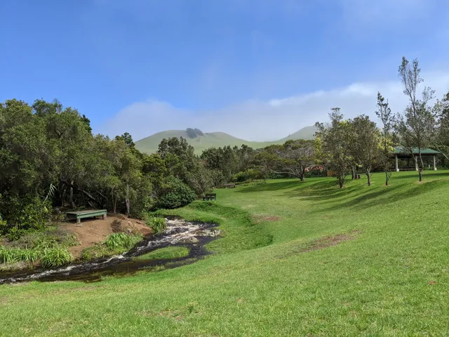 Ulu La‘au (Waimea Nature Park)