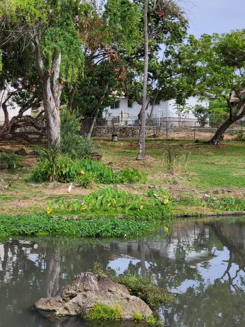 Loʻi Kalo Mini Park