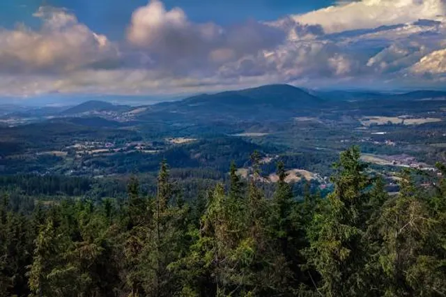 szczyt/góra Borowa (853 m.n.p.m )