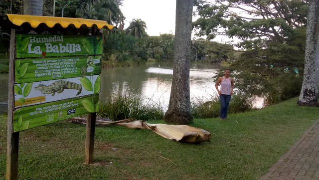 Humedal La Babilla