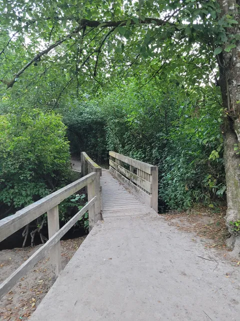 Pleasantdale Creek Trail