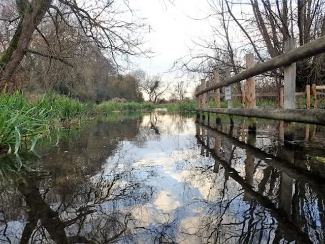 Frogmore Meadows Nature Reserve