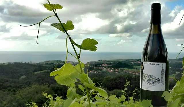 Bodegas y Viñedos Miradorio de Ruiloba