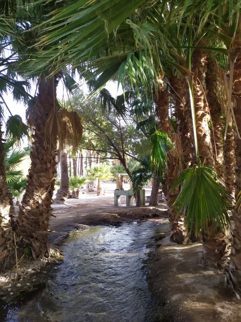 Parque Los Nacimientos