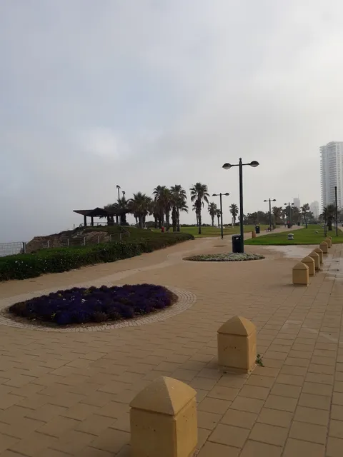 YONA APARTMENTS LTD.