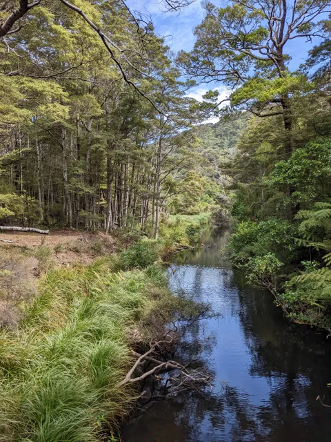 Butterfly Creek Walking Track