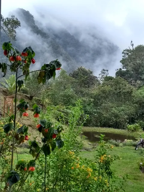 place image