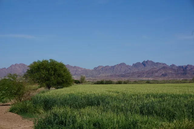 Cibola National Wildlife Refuge