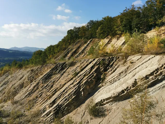 Schümel Naturschutzstiftung