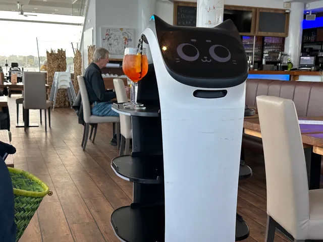 Seeschlösschenbrücke