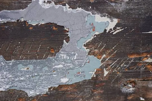 Parco degli Eucalipti