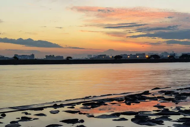 Kasai Rinkai Park Service Center