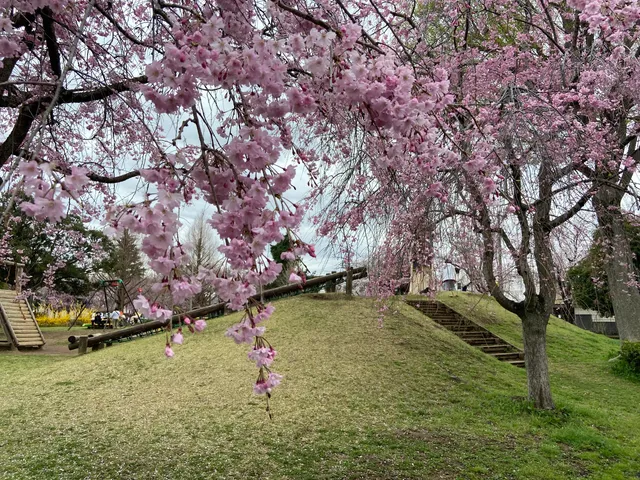 Yoshiba Park