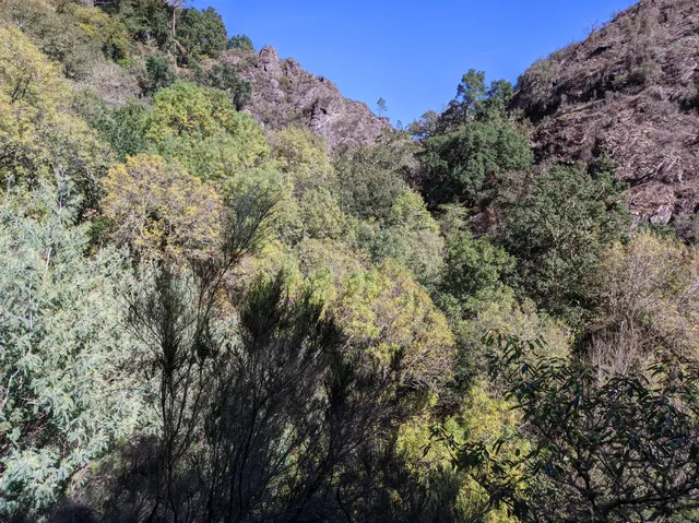 Ruta dos Muíños do Río Gato