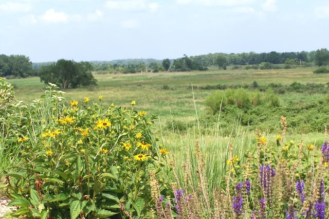 Lewis Nine Springs E-way