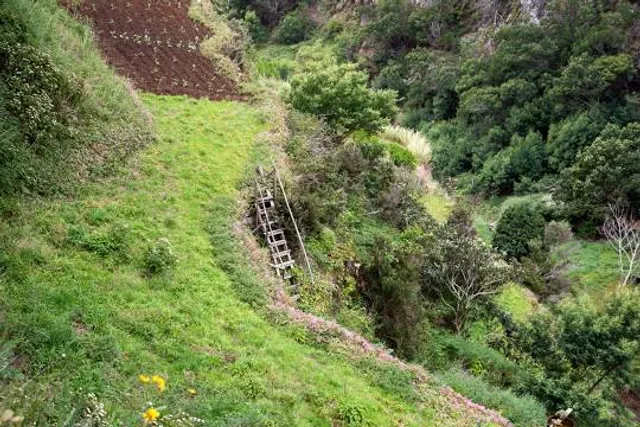 Levada do Caniçal - Machico
