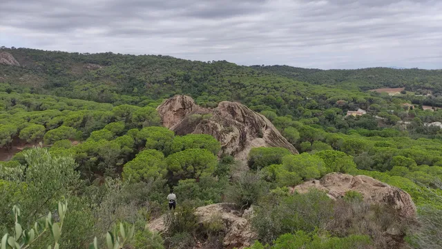 Castillo de Solius (Ruinas)