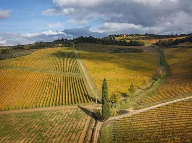 Conte Ferdinando Guicciardini Castello Di Poppiano