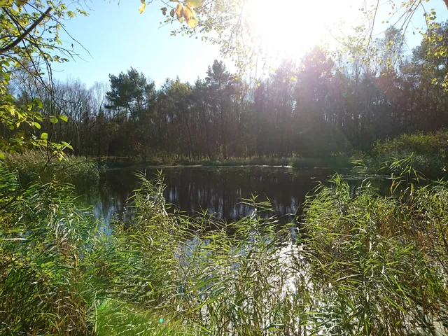 Altwarmbüchener Moor