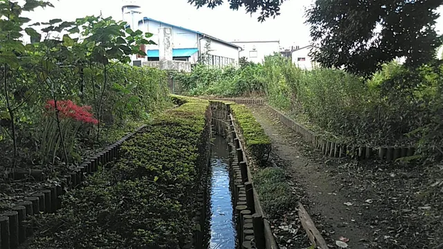 Nobitomeyosuishiseki Park